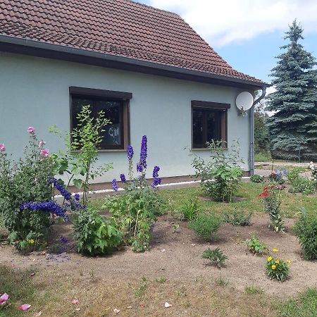 Ferienwohnung Am Scheunenkaffee Kachlin Dargen Luaran gambar