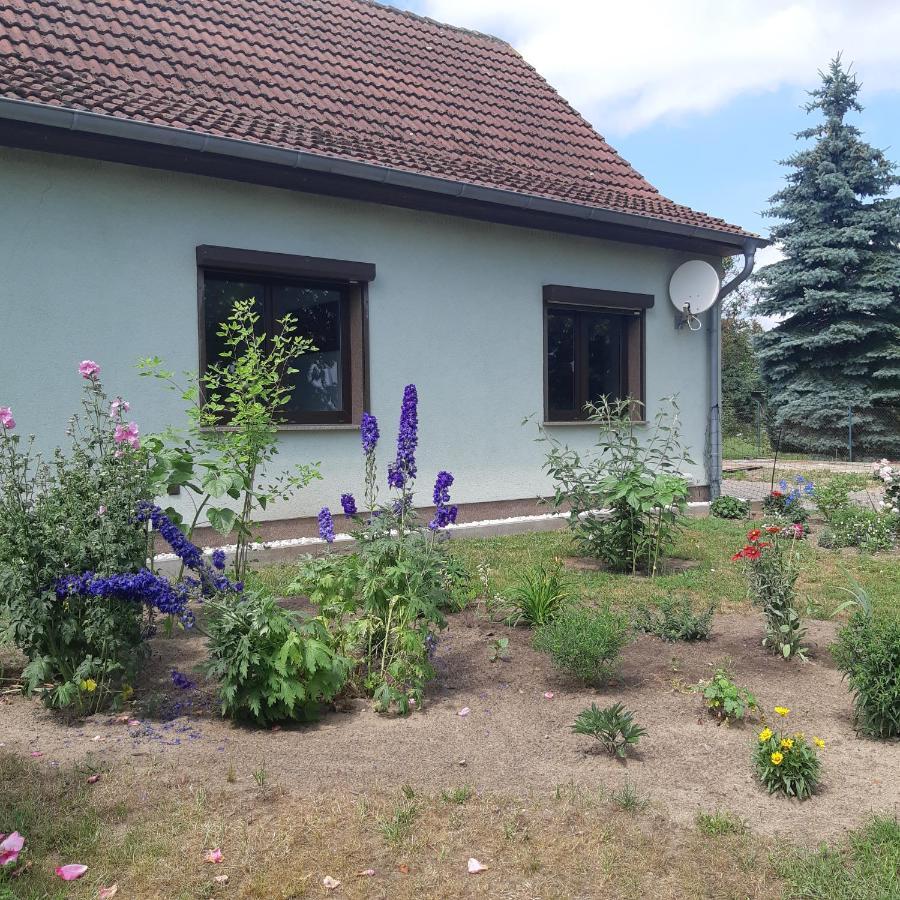 Ferienwohnung Am Scheunenkaffee Kachlin Dargen Luaran gambar
